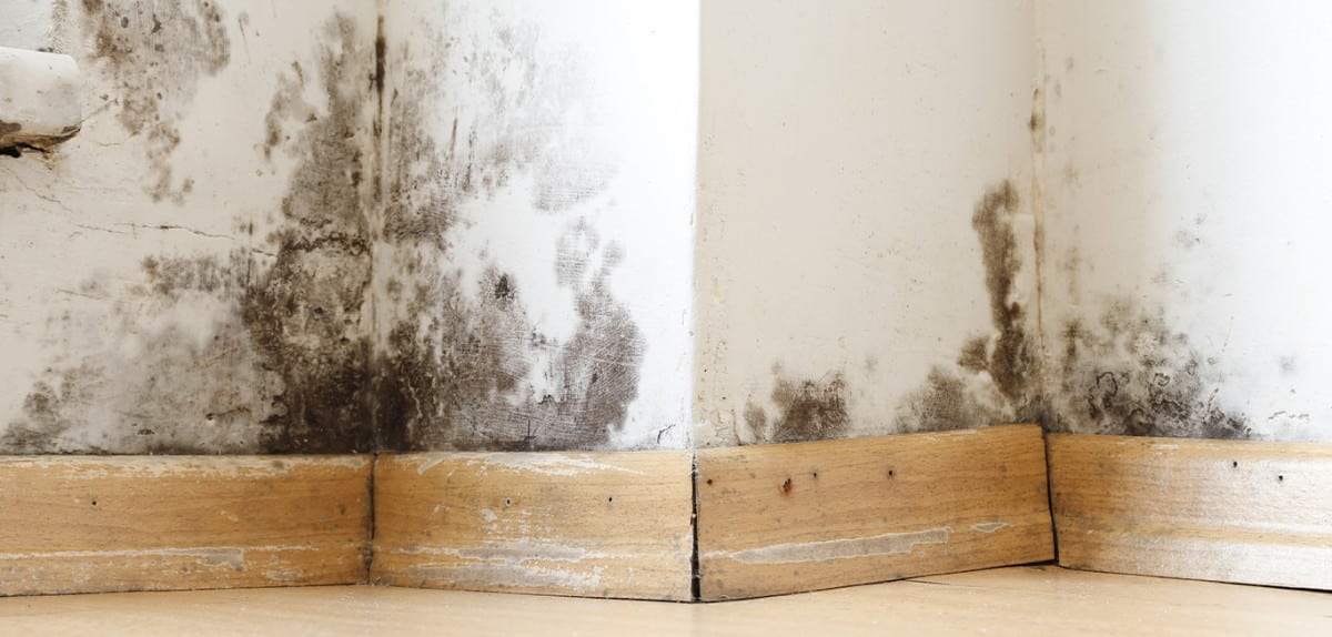 Louisville Kentucky Water and Mold Damage Claim Lawyers